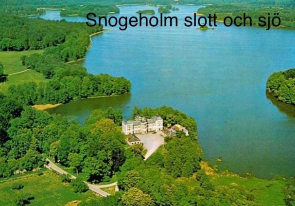 Mysig Ministuga Pa Privat Laege Landet