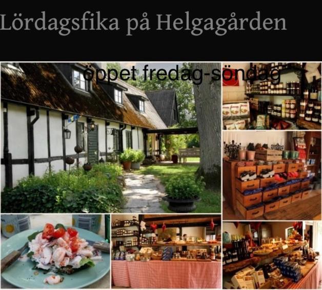Mysig Ministuga Pa Privat Laege Landet *